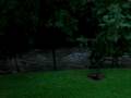 Waller Creek After Heavy Rain