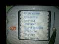 animal crossing wild world