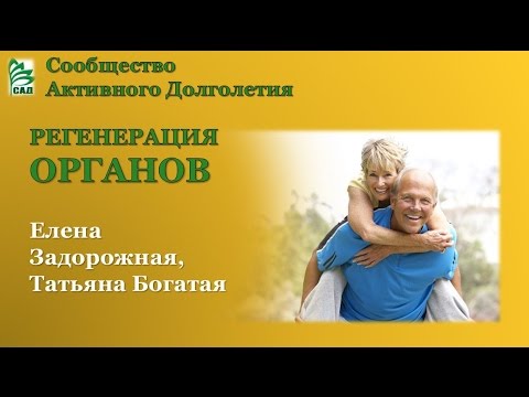YouTube Трейлер