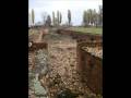 videos de Birkenau