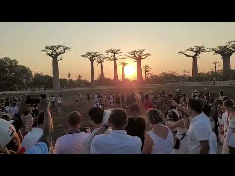 Spot the sun set at Baobab Avenue 