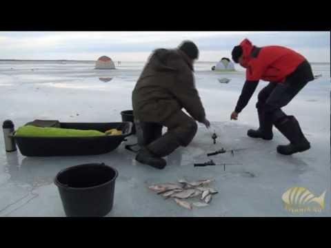 видео ловля сома на веселовском водохранилище видео ловля сома на веселовском водохранилище