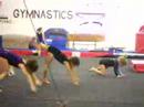 Front Limber Front Limber