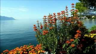 Relax Music - Zen Music For Zen Meditation - Musique Zen - Relajacion Musica, Zen Garden✿⊱╮