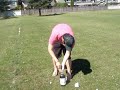 jath-coke-mentos.html