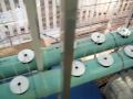 aquaponics101