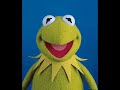 Sinsemillia Street with Krammit and Big Bird