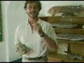 il pianeta dei dinosauri   3a puntata  2 
