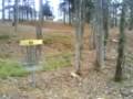 videos de jays disc golf birdie
