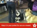 See video