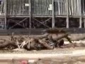 hurricane-katrina-aftermath-biloxi-mississippi.html