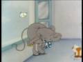 videos de Philip mouse 6 11
