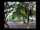 Asia Travel China Guangzhou Canton