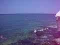 Black Sea