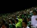 videos de parque antartica palmeiras