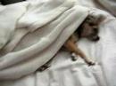Who can rest?