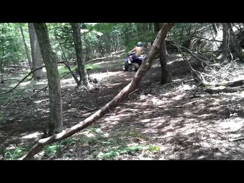 350 warrior 350 warrior