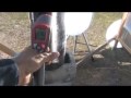 p3 solar still water desalination sea water boil 5 gallons