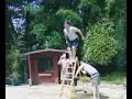 the belly flop