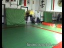 Michele Silvestri : Ruota-Salto Avanti