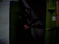 videos de 100_0040.MOV