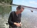 The Nature Conservancy - Woodard Bay Oyster Restoration