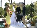 wedding go wrong