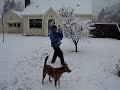 Snowing in Eugene, Oregon Snowing in Eugene, Oregon