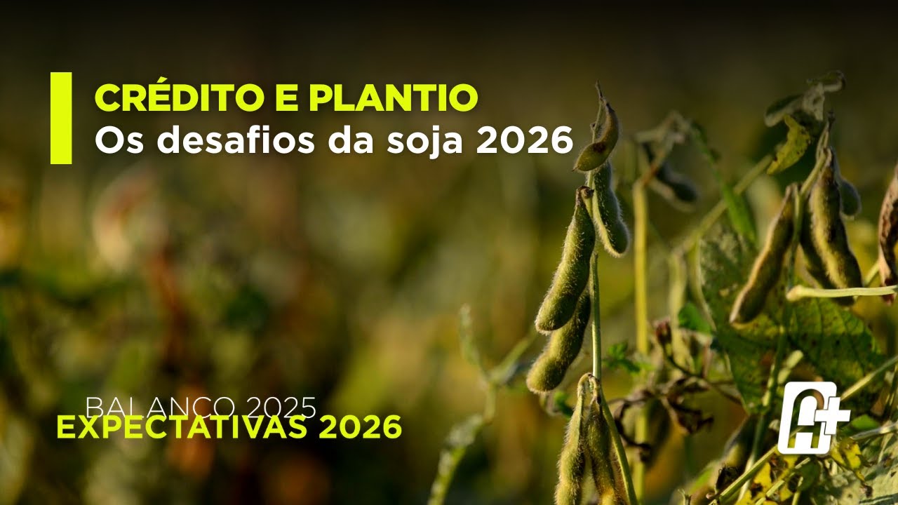 Soja: balanço 2025, desafios de plantio e crédito com Maurício Buffon (Aprosoja BR)