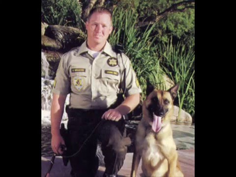 YouTube Трейлер