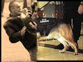 Trubite to those dogs that help us in everyday life
