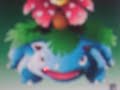 venasaur icon