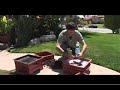 Worm Casting Harvesting With Sustainable Dave