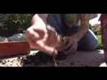 Worm Casting Harvesting With Sustainable Dave