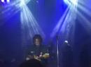 the quick awards in dallas marked the first time the polyphonic spree has played the tripping daisy song 