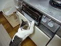 [ペット]グリルの中の焼き魚が気になっちゃう猫だニャンのサムネイル2