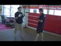 Fundamentals-of-leg-