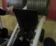 calf-training
