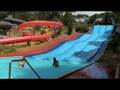 En Marineland