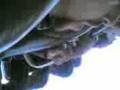 videos de Katun Mirabilandia