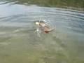 videos de Swimming