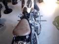 videos de LV Bobber