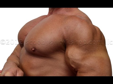 pecs - http://scoobysworkshop.com/10-secrets-for-huge-pecs/ Many people tell me my pecs are WAY too huge. Many people comment that I should do legs instead of chest...
