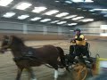 James Binns Indoor carriage driving 2009