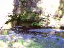 Multnomah Fall