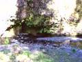 Multnomah-Fall