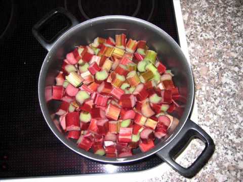 how to grow rhubarb in the south