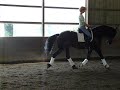 Friesians of Color's Bethje with Sabine Shut-Kery