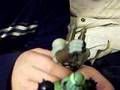 End of Vilgax