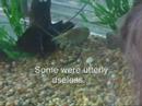 Z.S.I. Zoo Scene Investigation - Thumb #2
